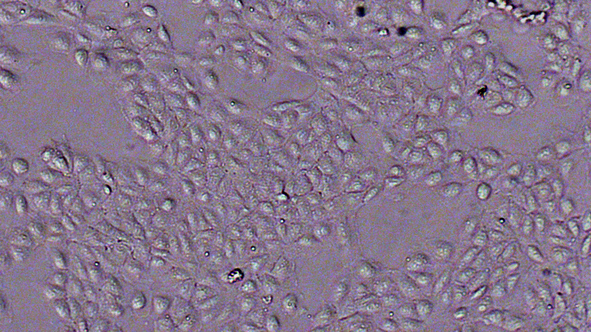 Photo of Zeiss PALM Equipment