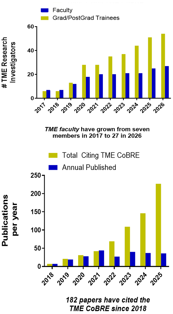 The first graph shows the number of TME investigators and how the faculty have grown from seven members in 2017 to 27 in 2026.  The second graph shows the publications per year and the fact 182 papers have cited the TME CoBRE since 2018.